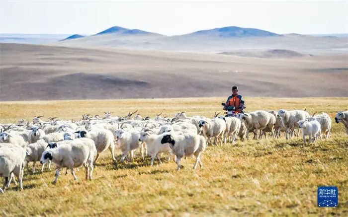 微信图片_20220607114116.jpg 微信图片_20220607114116.jpg