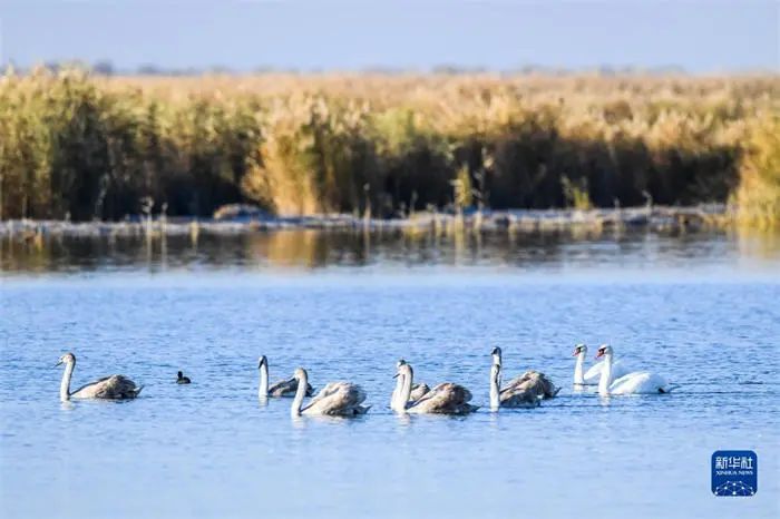 微信图片_20220607114136.jpg 微信图片_20220607114136.jpg